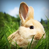 /album/beyza/photolia-a03-jpg/